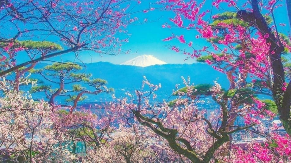 Pension Mozart Yamanakako Ngoại thất bức ảnh